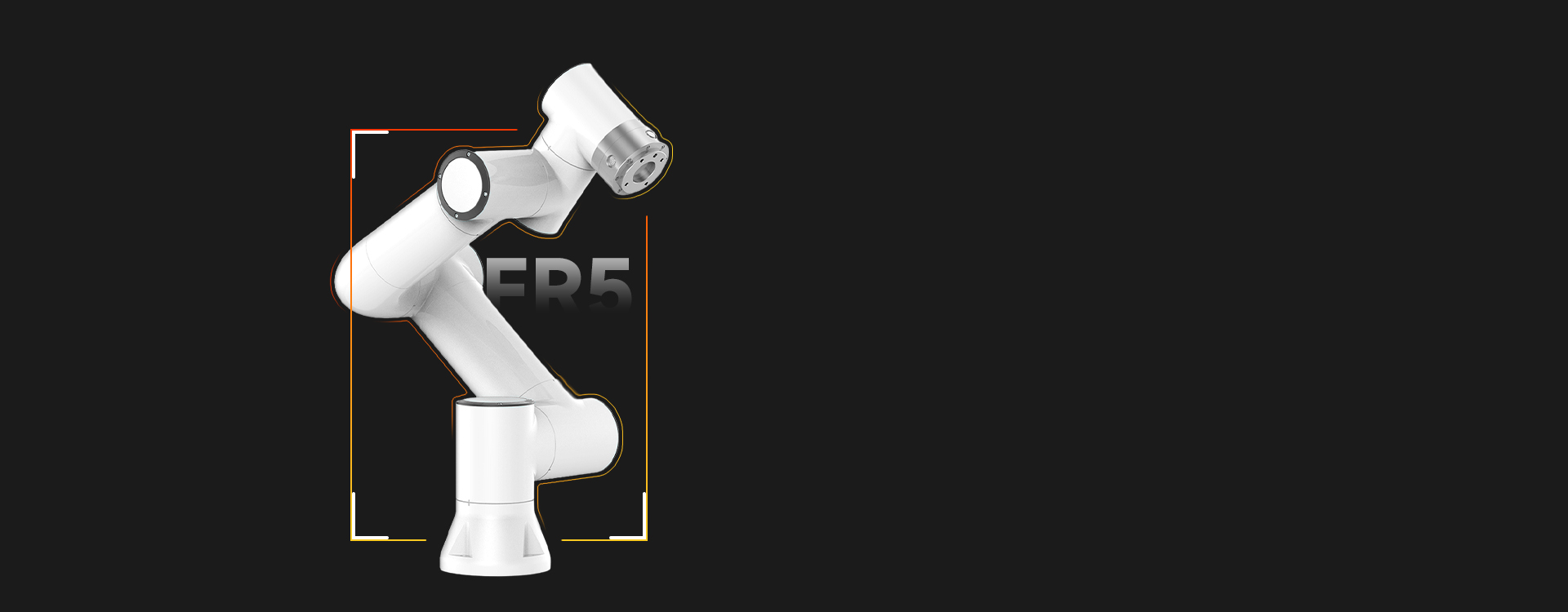 FR5canshu
